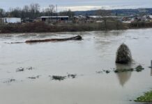 Autoridades de Snohomish y Skagit llaman a prepararse ante inundaciones y posibles evacuaciones Foto: Área del condado Snohomish inundada por las fuertes lluvias - Cortesía del ayuntamiento de la ciudad de Snohomish