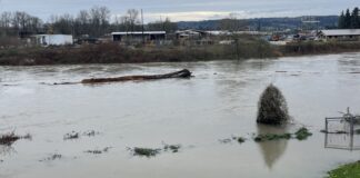 Autoridades de Snohomish y Skagit llaman a prepararse ante inundaciones y posibles evacuaciones Foto: Área del condado Snohomish inundada por las fuertes lluvias - Cortesía del ayuntamiento de la ciudad de Snohomish