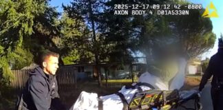 Ataque de perros en Bremerton dejó siete personas heridas y una mascota muerta Foto: Momento en el que una de las personas que fueron atacar es trasladada a un centro de salud - Cortesía de la Oficina del Sheriff del Condado de Kitsap