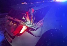 Violento fin de semana en carreteras de WA deja dos oficiales heridos y una agente muerta Foto: Estado de una patrulla luego de un accidente don un agente resulto herido, el 19 de diciembre - Cortesía de WSP