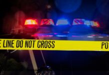 Pasajero fallece en Tacoma tras choque de auto robado a 110 mph