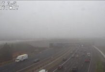 Carambola envuelve a 21 vehículos en la autopista 5 por densa niebla Foto: Niebla en la Interestatal 5 – Cortesía del Departamento de Transporte de WA