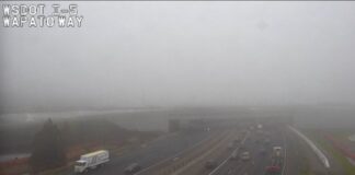 Carambola envuelve a 21 vehículos en la autopista 5 por densa niebla Foto: Niebla en la Interestatal 5 – Cortesía del Departamento de Transporte de WA