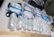 Incautan 25,000 pastillas de fentanilo y 6 kilos de metanfetamina en una redada en Lynnwood Foto: Narcóticos incautadas durante un operativo antidrogas de Lynnwood – Cortesía de la Oficina del Sheriff del Condado Snohomish