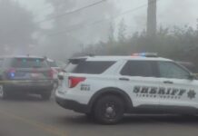 Agentes balean a sospechoso de apuñalar a un hombre y a un perro en Parkland Foto: Área acordonada por las autoridades para investigar el incidente – Cortesía de la oficina del sheriff del condado Pierce