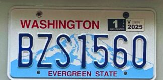 Reporte indica que unos 600,000 conductores en WA tienen las placas vencidas