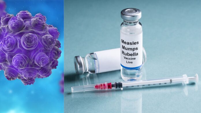 General Leo 2 - 2026-01-29T135752.114