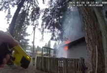 Desalojo en Lacey termina en incendio provocado y arresto Foto: Imagen de la cámara corporal de unos de los agentes que participo en el arresto – Cortesía del Sheriff Derek Sanders