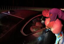 Un niño fue rescatado tras una persecución a 90 mph en Snoqualmie Pass Foto: Momento en el que un agente del WSP, retira del vehículo lo que parece una manta de niño rescatado - Cortesía del WSP