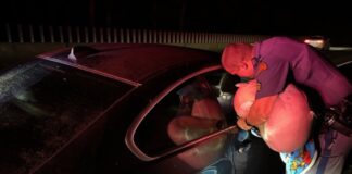 Un niño fue rescatado tras una persecución a 90 mph en Snoqualmie Pass Foto: Momento en el que un agente del WSP, retira del vehículo lo que parece una manta de niño rescatado - Cortesía del WSP