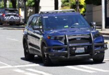 Hombre es detenido por la policía de Seattle tras una persecución y el choque de vehículo robado Foto: Patrulla del departamento de policía de Seattle ©️Latino Herald