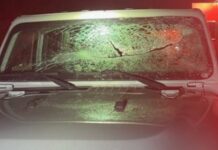 Cofre desprendido de un auto destruye parabrisas de otro vehículo Foto: Estado del parabrisas luego de ser golpeado por un cofre despedido de un sedán - Cortesía de la WSP