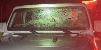 Cofre desprendido de un auto destruye parabrisas de otro vehículo Foto: Estado del parabrisas luego de ser golpeado por un cofre despedido de un sedán - Cortesía de la WSP