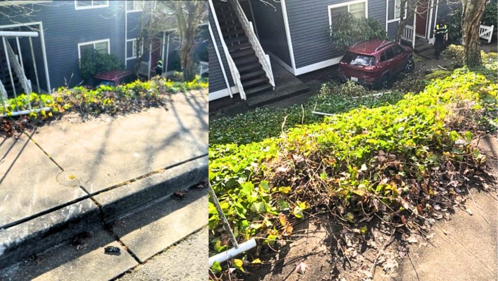 Foto: Vista trasera del estado de la camioneta luego de chocar contra una vivienda - Cortesía de la policía de Redmond 