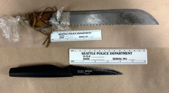 Hombre con orden de arresto por delito grave es detenido con armas blancas Foto: Machete y cuchillo recuperado por las autoridades durante el arresto - Cortesía del SPD