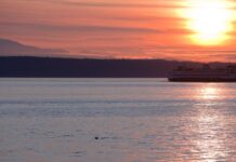 Más luz y días más largos: así arrancó la primavera en Washington