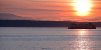 Más luz y días más largos: así arrancó la primavera en Washington