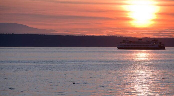 Más luz y días más largos: así arrancó la primavera en Washington