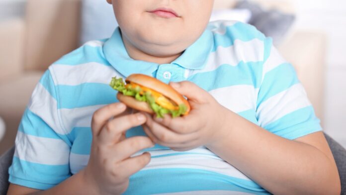 Niño con una hamburguesa en la mano