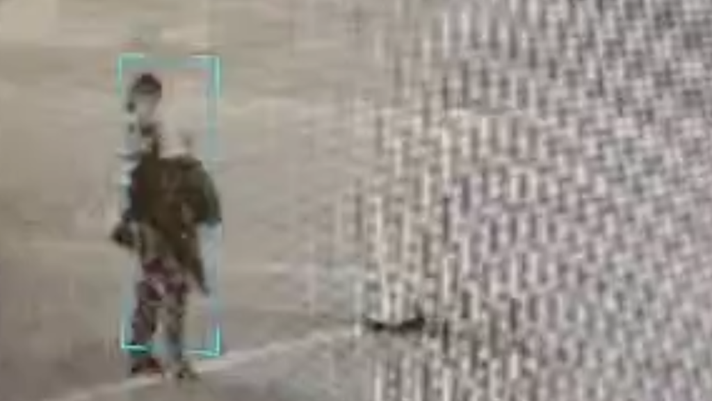 Violet fue captada por cámaras de seguridad alrededor de las 3 a. m. del 1 de marzo. Caminaba con calma y sin sobresaltos - Foto: cortesía de la pagina indviolet.com, creada por su padre para localizarla 