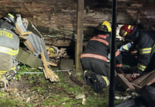 Pronostican más lluvia y nieve en las montañas mientras otra tormenta azota a WA Bomberos de Eastside Fire & Rescue trabajaron durante dos horas para liberar a una persona después de que un árbol cayera sobre su casa rodante en Carnation - Foto: cortesía del Eastside Fire & Rescue
