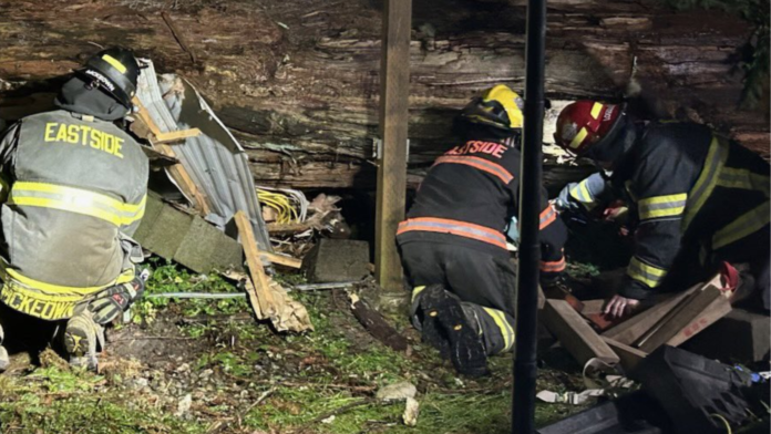 Bomberos de Eastside Fire & Rescue trabajaron durante dos horas para liberar a una persona después de que un árbol cayera sobre su casa rodante en Carnation - Foto: cortesía del Eastside Fire & Rescue