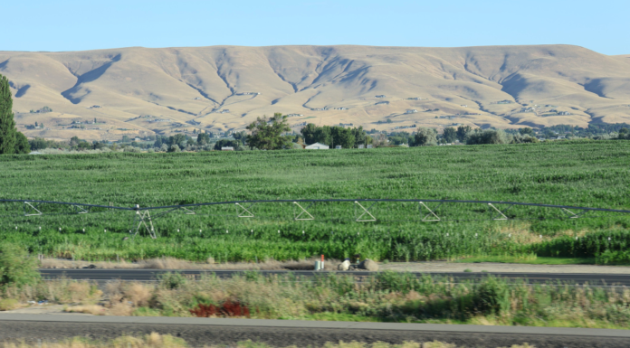 Contratista agrícola de Yakima enfrenta $700,000 en multas por violaciones laborales Campos agrícolas con sistema de riego en el Valle de Yakima, con colinas secas al fondo bajo cielo despejado.