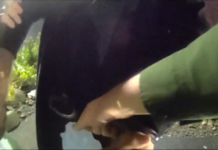 Arrestado por DUI: se transportaba en un monociclo eléctrico en Port Orchard Momento en el que los agentes arrestan al sospechoso de DUI — Foto: Sheriff del Condado de Kitsap