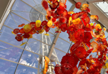 Imponen fianza de $100,000 al hombre acusado de vandalizar el Chihuly Garden and Glass Arte en vidrio soplado con formas florales en tonos rojos, naranjas y amarillos suspendida en el techo de un invernadero con estructura de vidrio en Chihuly Garden and Glass.