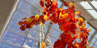 Imponen fianza de $100,000 al hombre acusado de vandalizar el Chihuly Garden and Glass Arte en vidrio soplado con formas florales en tonos rojos, naranjas y amarillos suspendida en el techo de un invernadero con estructura de vidrio en Chihuly Garden and Glass.