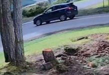 Atropello con fuga en Shelton deja a una menor herida; buscan al conductor Vehículo implicado en el atropello y fuga de una menor en Shelton — Foto: Oficina del sheriff del condado de Mason