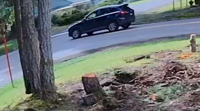 Atropello con fuga en Shelton deja a una menor herida; buscan al conductor Vehículo implicado en el atropello y fuga de una menor en Shelton — Foto: Oficina del sheriff del condado de Mason