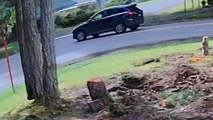 Vehículo implicado en el atropello y fuga de una menor en Shelton — Foto: Oficina del sheriff del condado de Mason