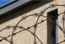 Mujer de Texas recibe condena por abuso sexual infantil en México