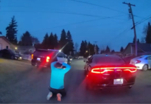 Sospechoso acumula 98 arrestos tras persecución en Olympia Momento en el que los agentes detienen a un hombre por 98ª vez tras persecución en Olympia— Foto: Derek Sanders, sheriff del condado de Thurston