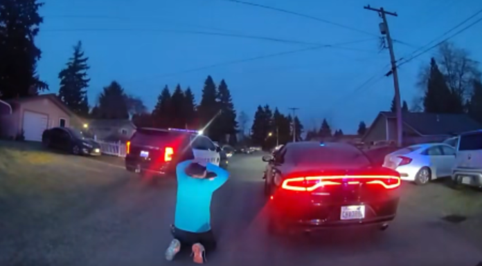 Sospechoso acumula 98 arrestos tras persecución en Olympia Momento en el que los agentes detienen a un hombre por 98ª vez tras persecución en Olympia— Foto: Derek Sanders, sheriff del condado de Thurston