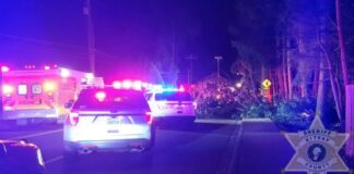 Camioneta con siete jóvenes se estrella en Bremerton y deja un adolescente muerto Vehículos de emergencia con luces encendidas bloquean una calle en East Bremerton tras un choque nocturno que dejó varios jóvenes heridos.