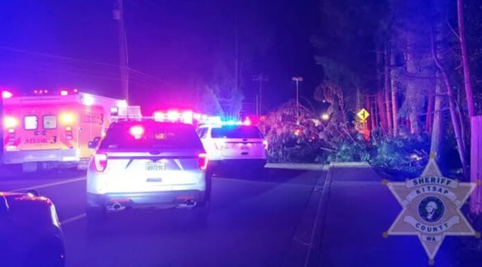 Camioneta con siete jóvenes se estrella en Bremerton y deja un adolescente muerto Vehículos de emergencia con luces encendidas bloquean una calle en East Bremerton tras un choque nocturno que dejó varios jóvenes heridos.