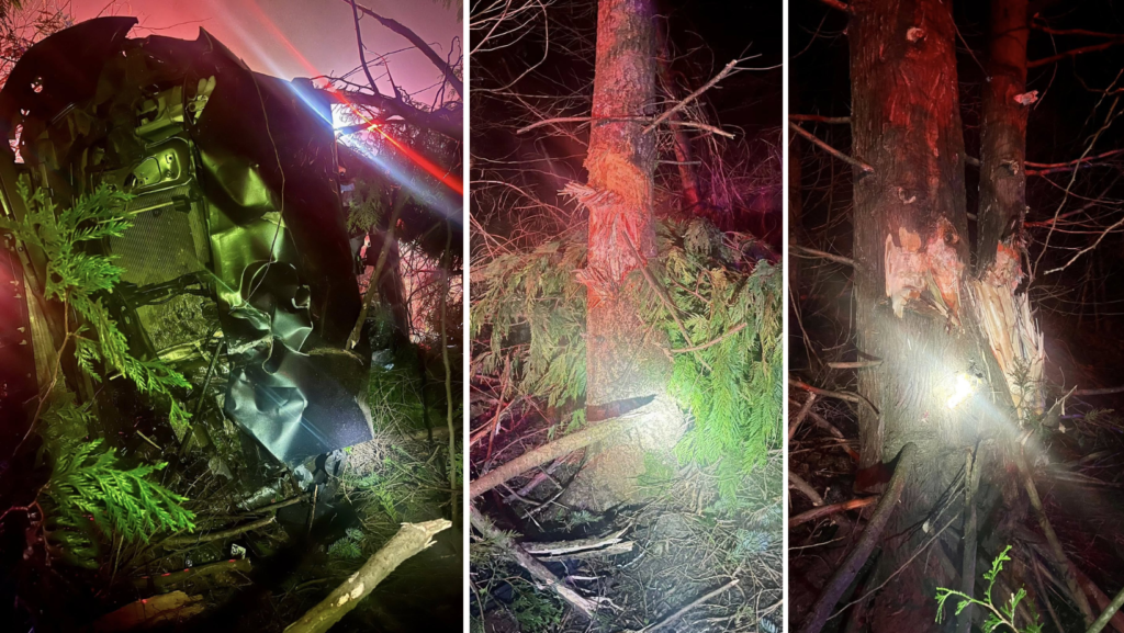 Estado del vehículo y alguno de los árboles luego del accidente en la autopista 2 – Foto cortesía del distrito 4 del departamento de bomberos del condado de Snohomish 