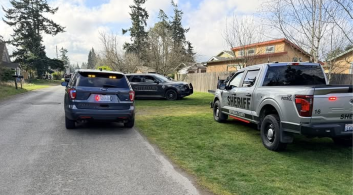 Sospechoso de atropellar y matar a una persona en Bellevue ya fue arrestado Autoridades del Condado de Jefferson durante la investigación del caso– Foto cortesía de la oficina del Sheriff del condado de Jefferson