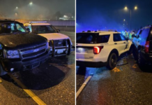 Conductor que huía en la I-5 en sentido contrario se estrella contra patrulla en Pierce Estado del vehículo y la patrulla luego del choque en la I-5 - Cortesía del WSP