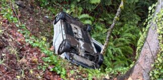 Hombre de Poulsbo enfrenta cargo por DUI tras volcar en un barranco en Kitsap Vehículo cae en un barranco luego de volcarse — Foto: Oficina del sheriff del condado de Kitsap