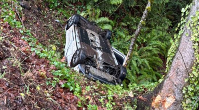 Hombre de Poulsbo enfrenta cargo por DUI tras volcar en un barranco en Kitsap Vehículo cae en un barranco luego de volcarse — Foto: Oficina del sheriff del condado de Kitsap