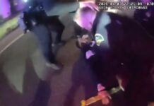 Arrestan a sospechoso con 19 condenas tras persecución en Thurston Las autoridades detienen a un hombre tras una persecución policial en el condado de Thurston, después de que robara un Honda Civic en Olympia — Foto: Sheriff del condado de Thurston