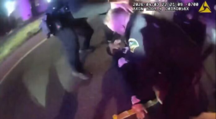 Arrestan a sospechoso con 19 condenas tras persecución en Thurston Las autoridades detienen a un hombre tras una persecución policial en el condado de Thurston, después de que robara un Honda Civic en Olympia — Foto: Sheriff del condado de Thurston