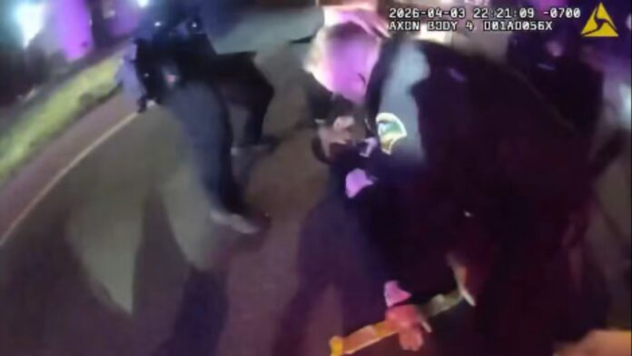 Las autoridades detienen a un hombre tras una persecución policial en el condado de Thurston, después de que robara un Honda Civic en Olympia — Foto: Sheriff del condado de Thurston