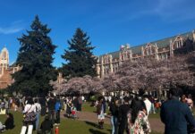 Semana más soleada en Seattle con temperaturas cercanas a los 70 grados Con un clima muy agradable, grupos de personas se congregan para apreciar los cerezos en flor en el campus de la Universidad de Washington, el sábado 4 de abril de 2026, en Seattle — Foto: Stephanía Florido para Latino Herald ™️