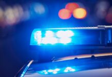 Arrestan en Olympia a un hombre investigado por posesión de material de abuso sexual infantil