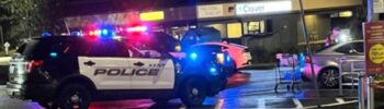 Patrulla del policía de Kent, durante una investigación — Imagen: Departamento de policía de Kent