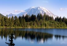 Washington se posiciona entre los estados más limpios y ecológicos, según nuevo informe